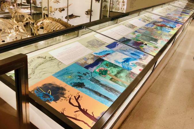 Exhibition case containing children's drawings