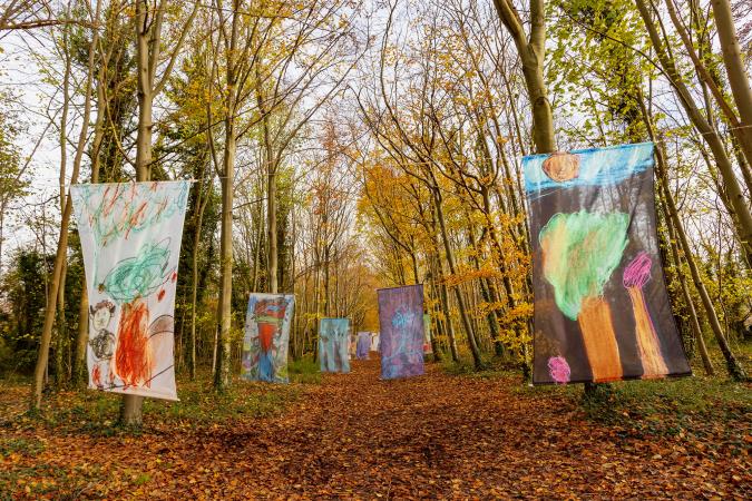Hangings in the woods in sunlight