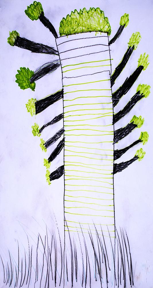 drawing of tree with branches